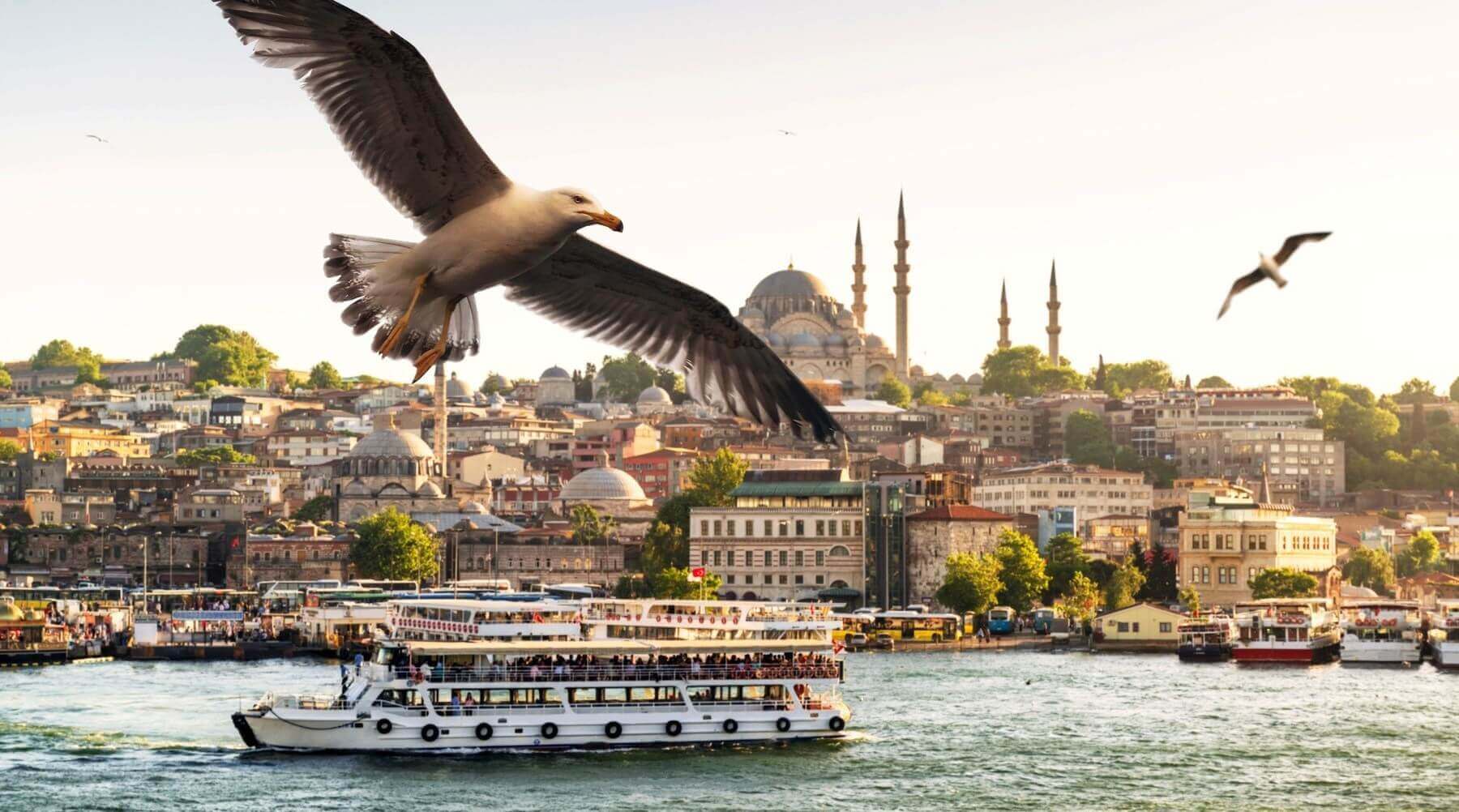 Afternoon Bosphorus Cruise Tour Istanbul City Tours