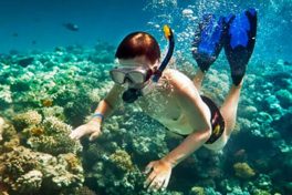 Snorkelling in Gallipoli Peninsula